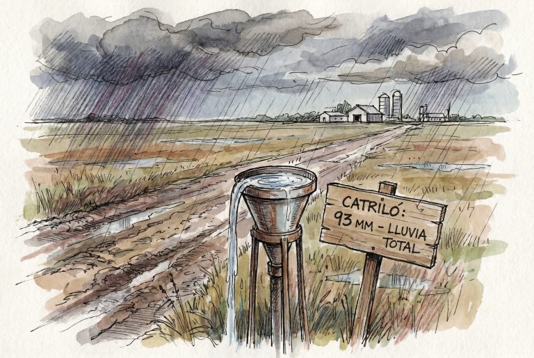 Datos de precipitaciones en La Pampa: Catriló lideró los registros con 93 milímetros