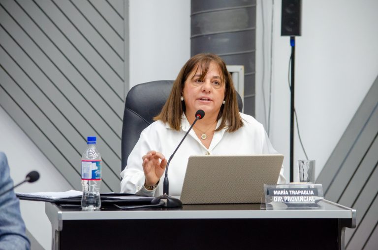 Con el oficialismo en minoría, la Legislatura pampeana vivió una sesión con fuertes cruces por las condiciones laborales en Salud
