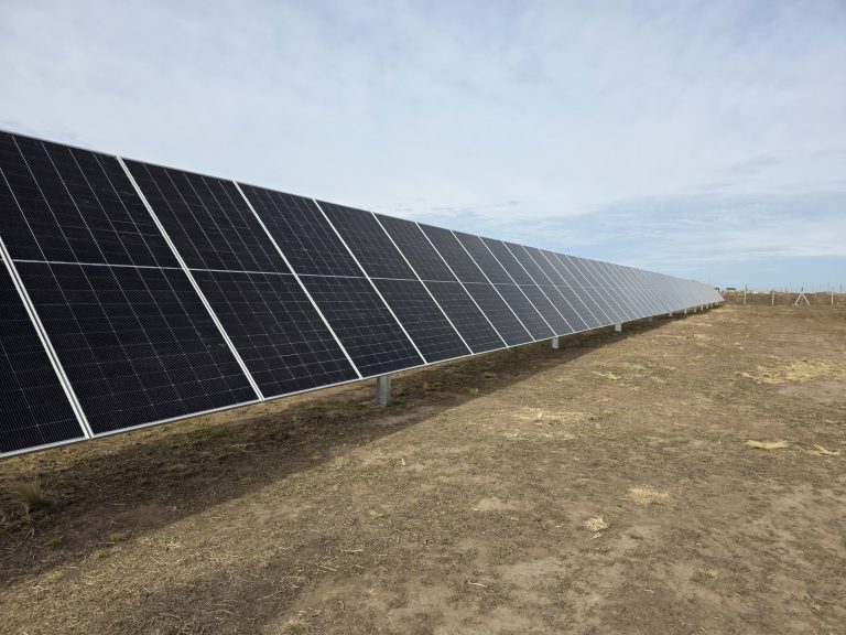 El Parque Solar de General Pico dio un paso clave con el montaje de la primera fila de paneles