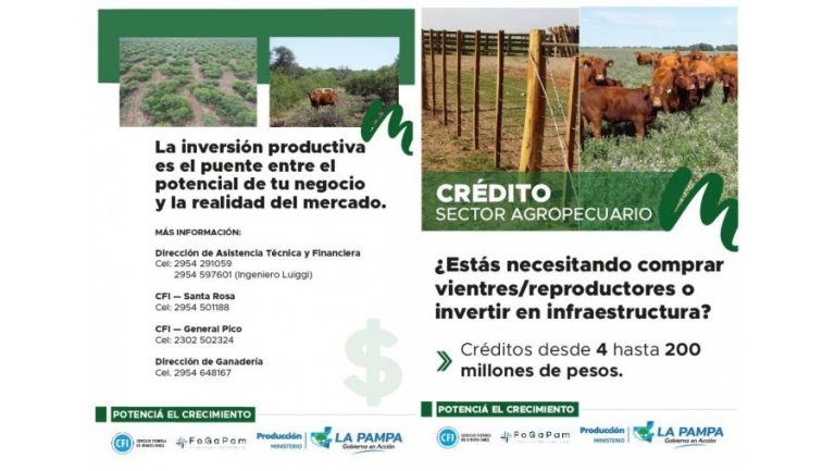 Agro pampeano: lanzan créditos de hasta $200 millones para inversión productiva