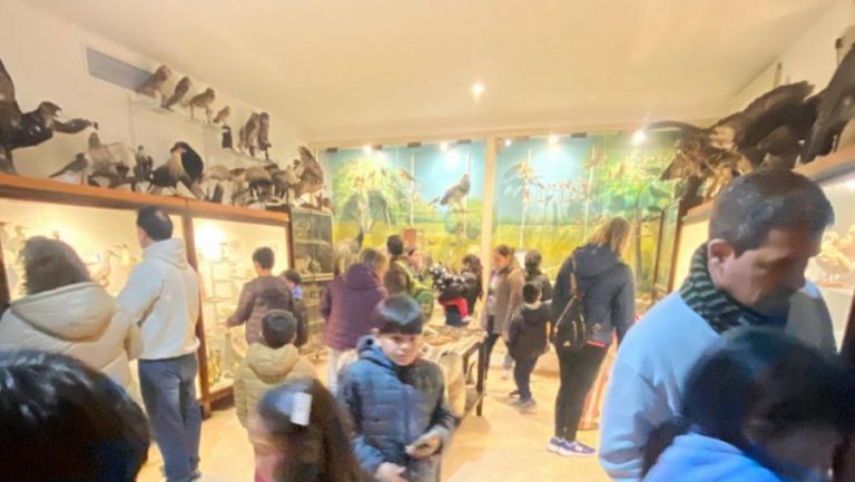 El Museo Provincial de Historia Natural recibió más de 1.200 visitantes en la primera semana de vacaciones