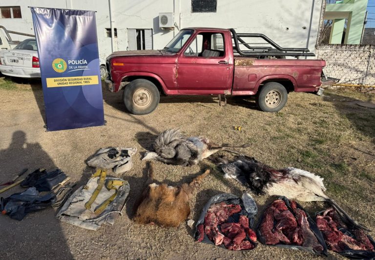Tres operativos contra la caza furtiva en la región: secuestran vehículos, armas y animales faenados