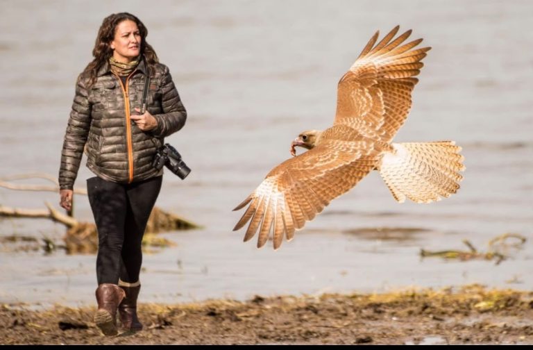 Margarita Cervio, la observadora de aves que lleva 20 años «coleccionando» especies: «Es medio un fanatismo»