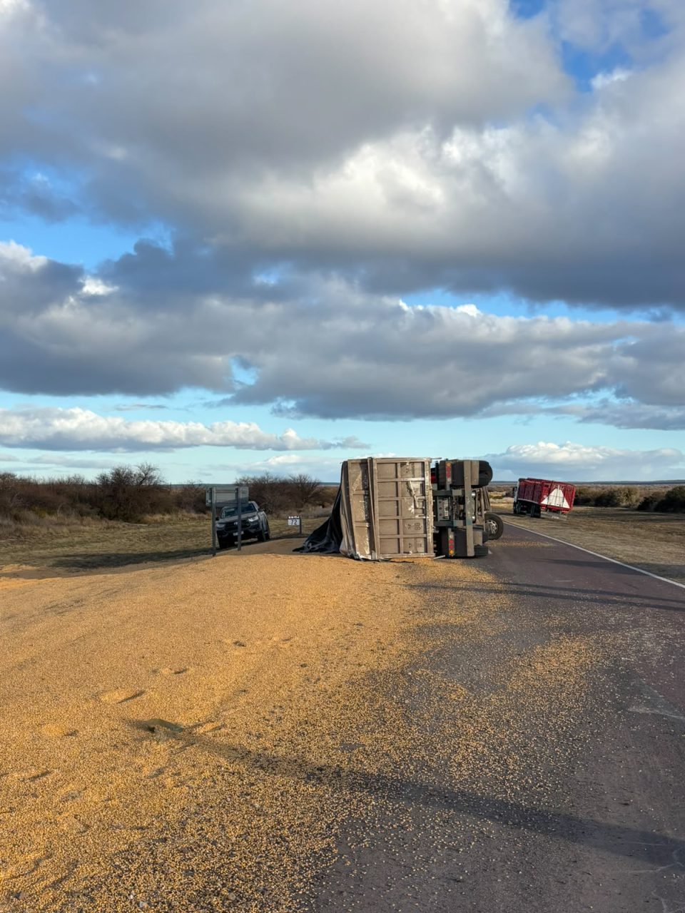 Vuelco en la Ruta Nacional 154: un camión cargado de maíz terminó sobre la cinta asfáltica tras esquivar un perro