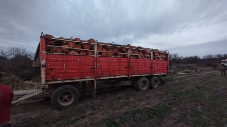 Siete demorados en Rancul por tala ilegal y robo de 28 toneladas de madera de caldén