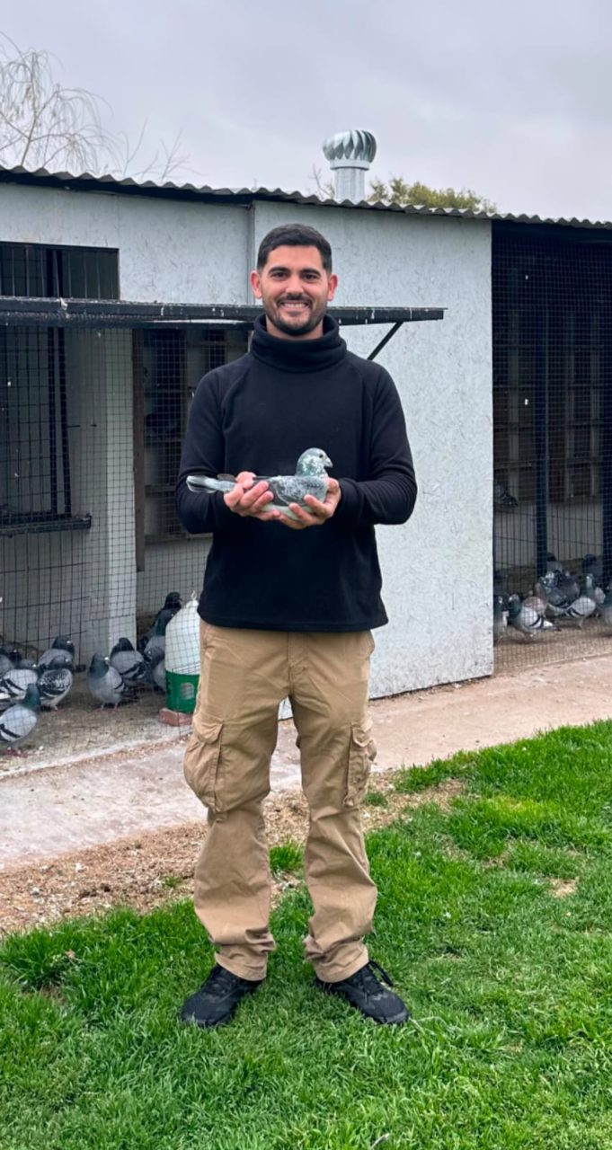 El palomar “La Loma” brilló en la séptima fecha del campeonato de colombofilia piquense