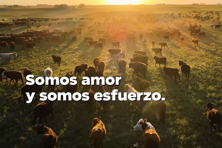 Mensaje de Ziliotto por el Día de La Pampa: una reivindicación de la historia, la identidad y el futuro provincial