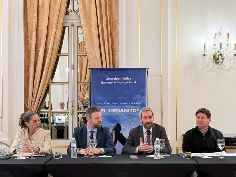 La Pampa busca inversiones para el área El Medanito: presentaron la licitación ante 17 empresas en Buenos Aires