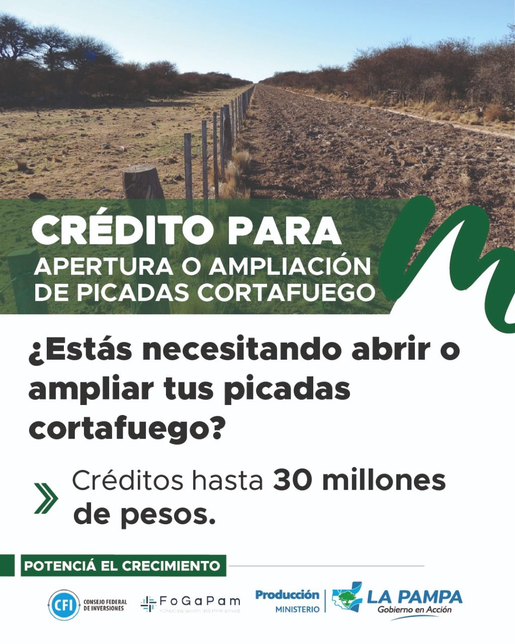 Prevención de incendios: recuerdan los requisitos y el financiamiento disponible para la apertura de picadas cortafuegos