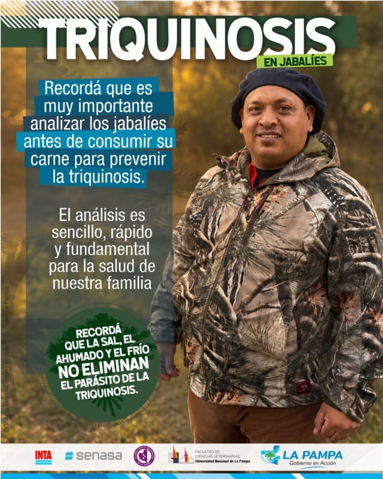 Alerta por triquinosis: detectan un jabalí infectado en un torneo de caza en Santa Rosa
