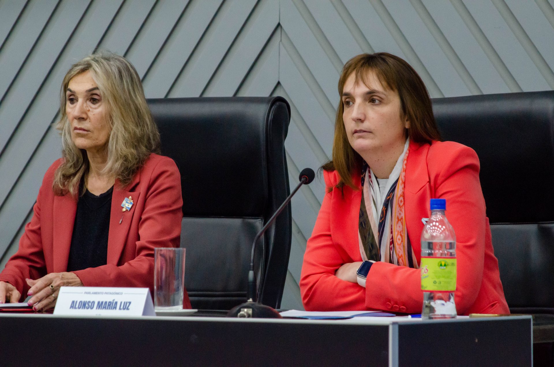 Con un llamado a la unidad, La Pampa asumió la conducción del Parlamento Patagónico