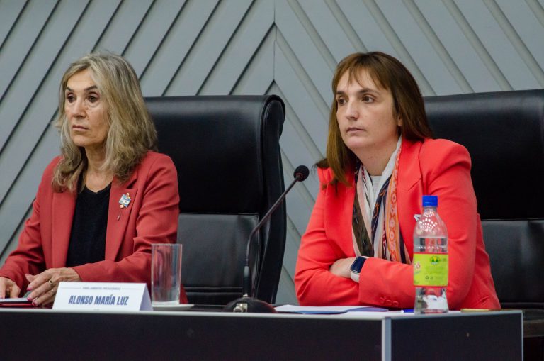 Con un llamado a la unidad, La Pampa asumió la conducción del Parlamento Patagónico