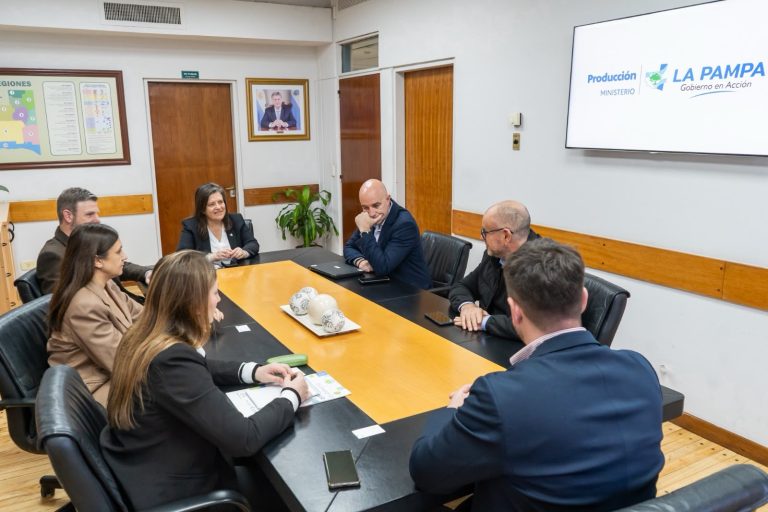 Genneia invertirá 30 millones de dólares en Santa Rosa para un proyecto estratégico de almacenamiento de energía