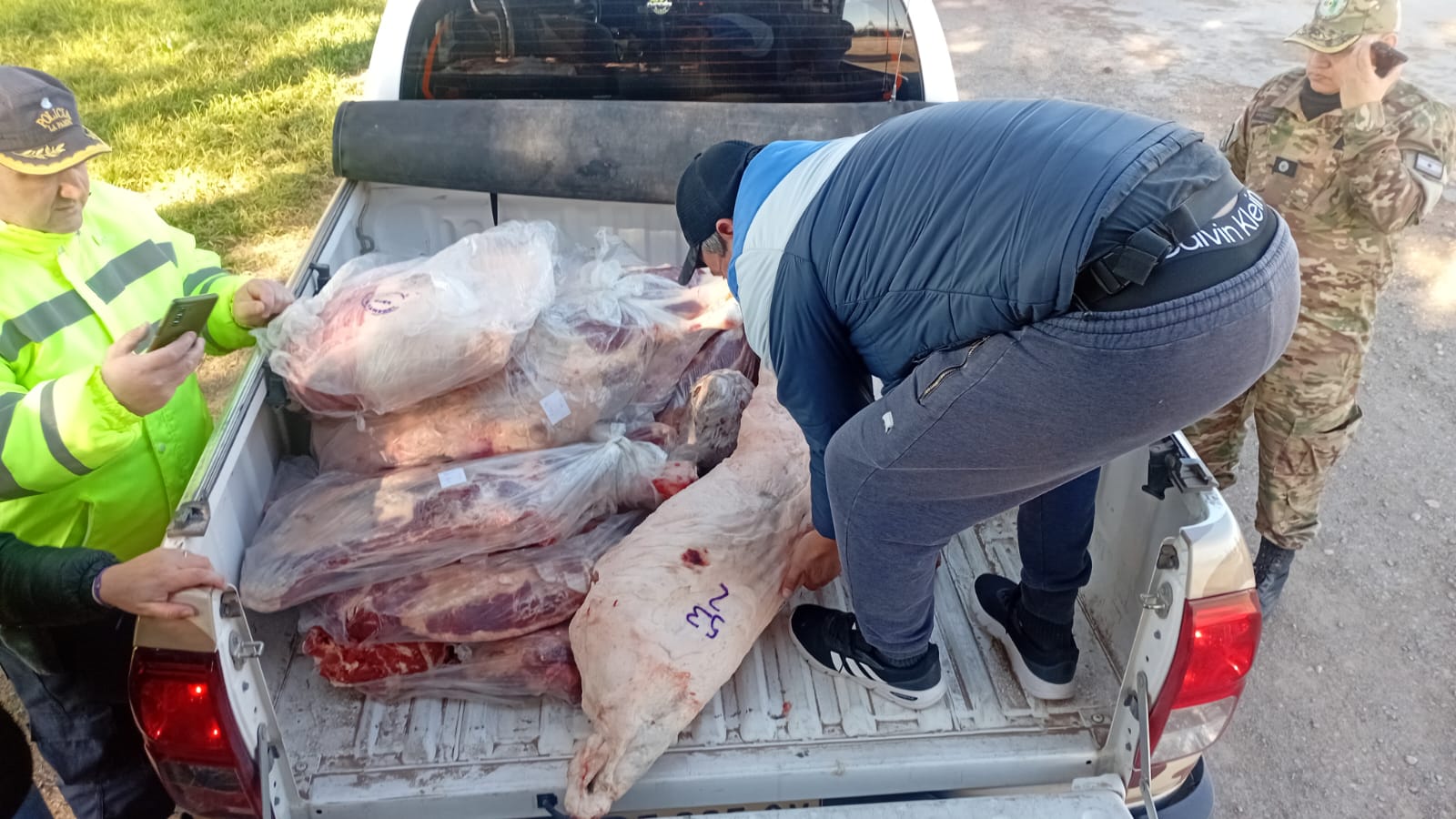 Carne decomisada