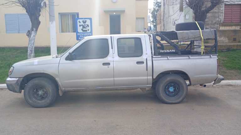 Operativos contra la caza furtiva en Rucanelo: secuestran armas y 20 liebres europeas