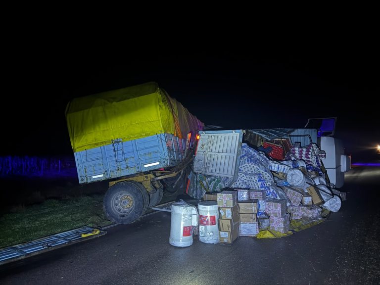 Un camión volcó en la Ruta Provincial 1 cerca de Lonquimay tras un desperfecto mecánico