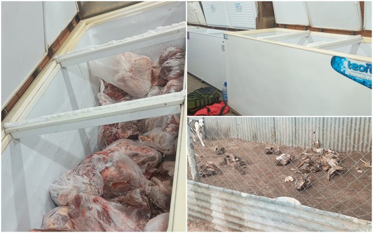 Desmantelan frigorífico clandestino en Monte Nievas: «La carne podría ser peligrosa para la salud pública», dijo el fiscal Matías Juan