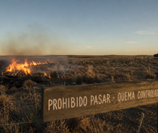 Quemas controladas: extienden la temporada para bosque y monte pero se mantienen los plazos para pastizales (Imagen ilustrativa IA - infopico.com)