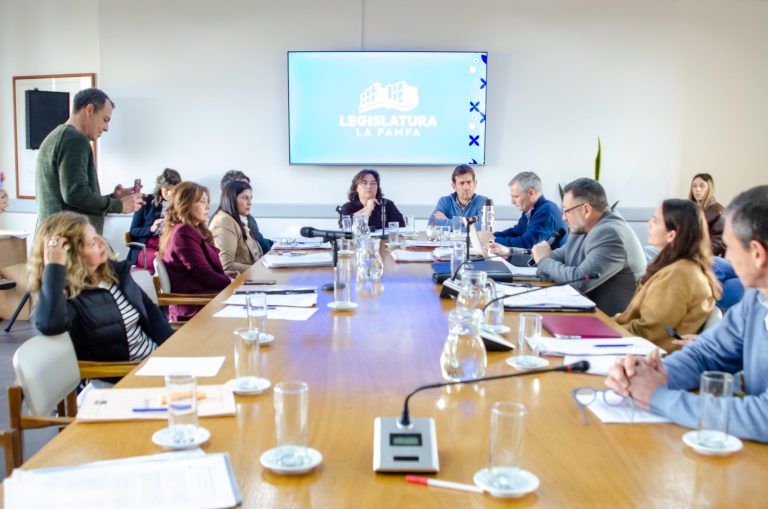 Comisiones de Diputados dieron dictamen a proyectos sobre salud mental, cooperativismo y reconocimientos