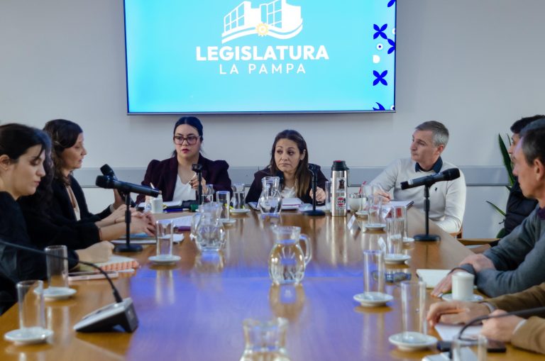 El Medanito: Advierten que los pozos abandonados ascienden a 146 y el costo de saneamiento supera los 22 millones de dólares