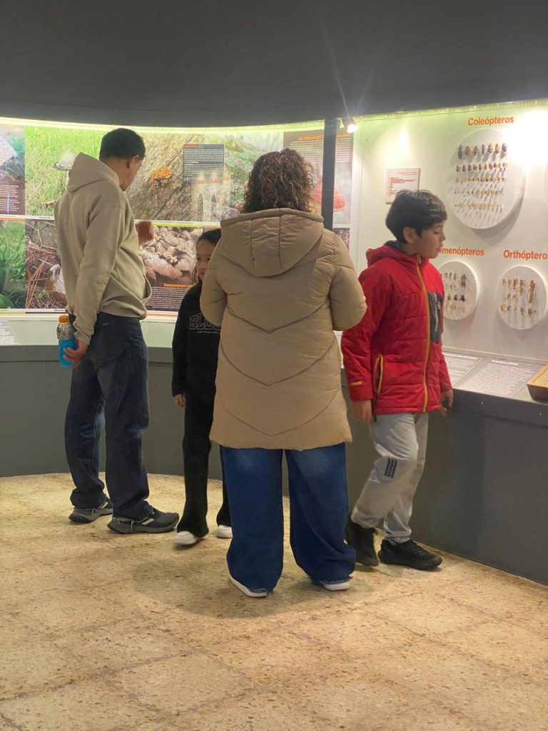 El Museo Provincial de Historia Natural renueva sus horarios de atención a partir de octubre