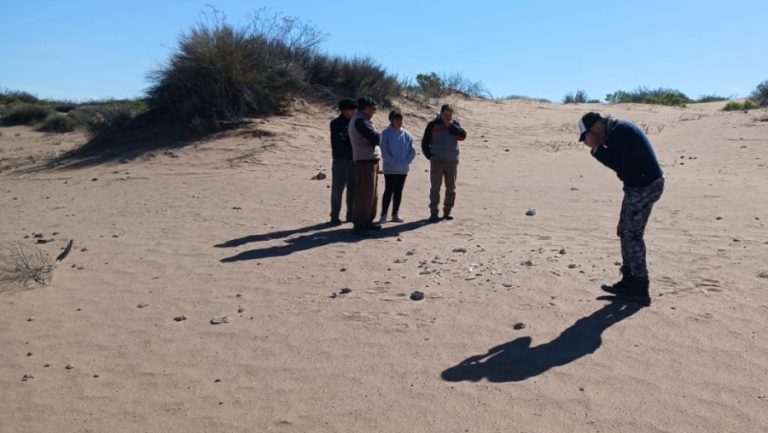 Rescatan restos de un megaterio y piezas arqueológicas en el departamento Chalileo