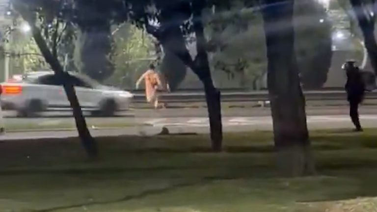 Mendoza: un adolescente de 13 años fue atropellado en una autopista tras un presunto robo