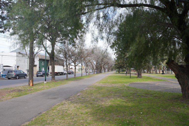 General Pico: continúa vigente la iniciativa para sumar árboles a las veredas