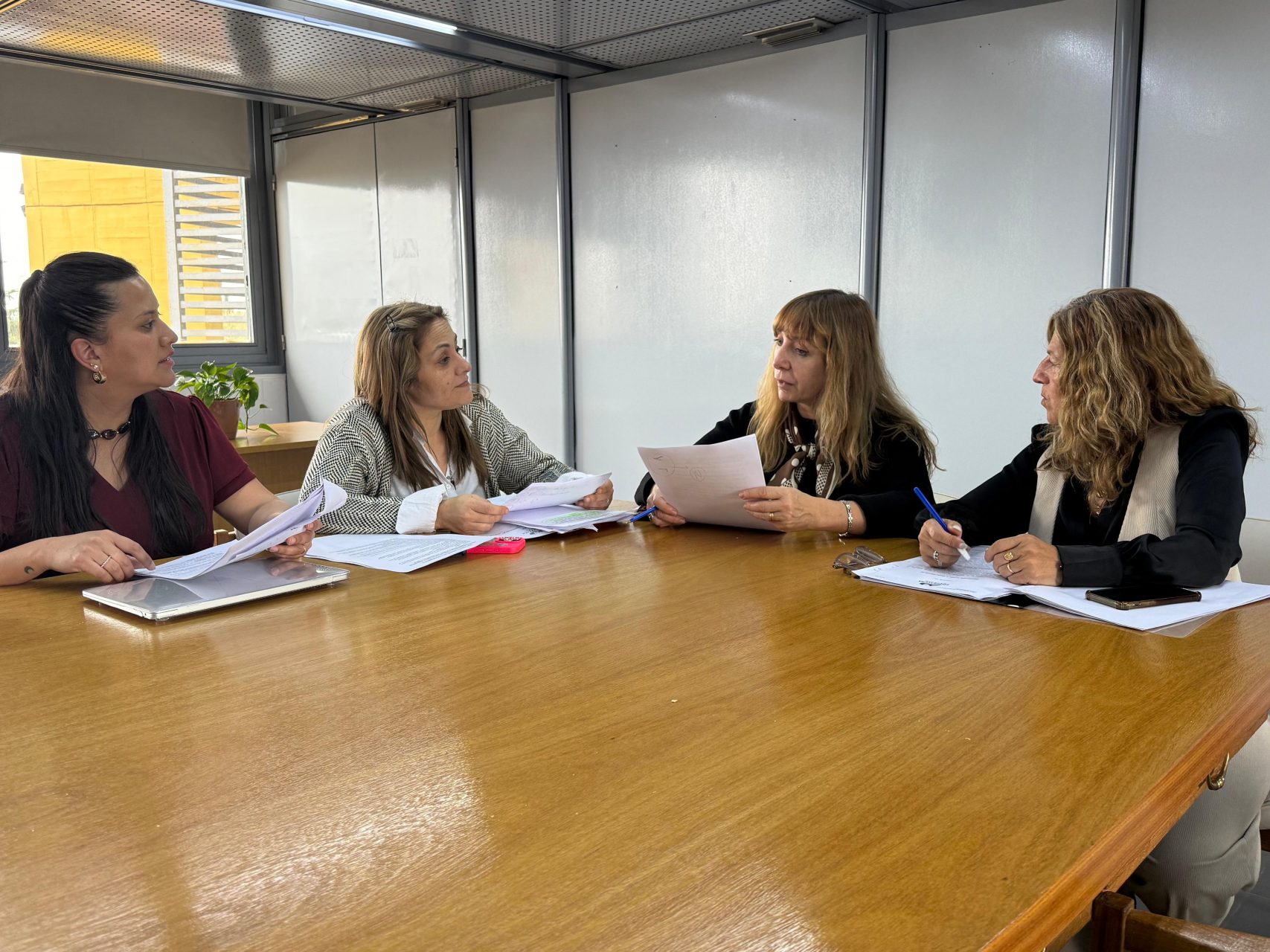 Caso del bebé de Rancul: la Comisión Investigadora de la Legislatura pampeana comenzó su labor y pidió informes al gobierno