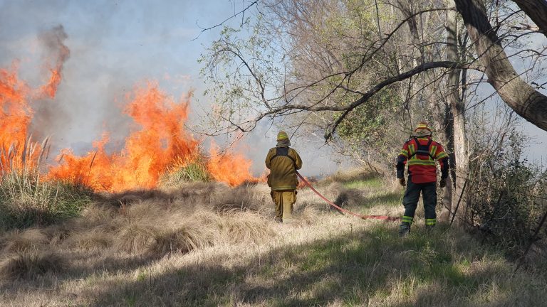 Amplio despliegue de bomberos por un incendio en la zona de las calles 529 y 500
