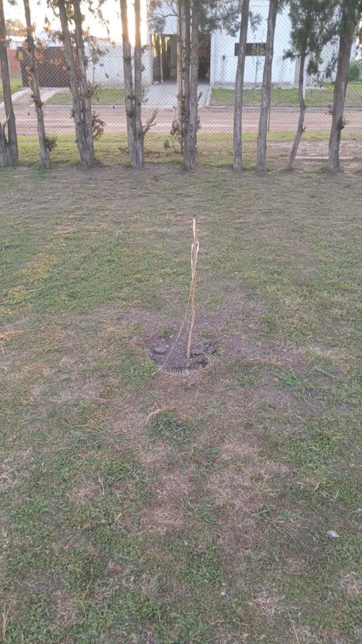 Daños en las instalaciones del Polideportivo