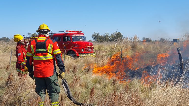 Fuerte incendio de malezas movilizó a bomberos y Defensa Civil en la zona de las calles 519 y 520