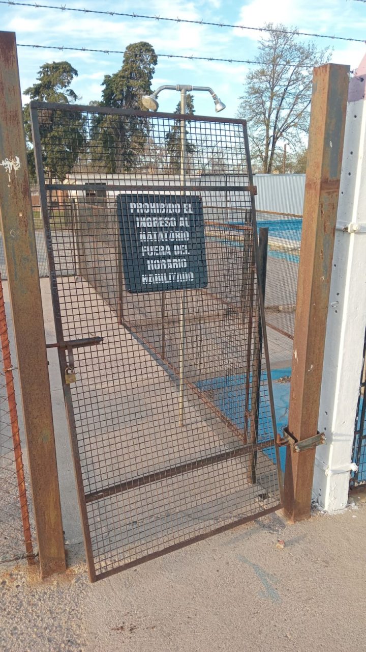 Vandalismo en el Polideportivo de Intendente Alvear