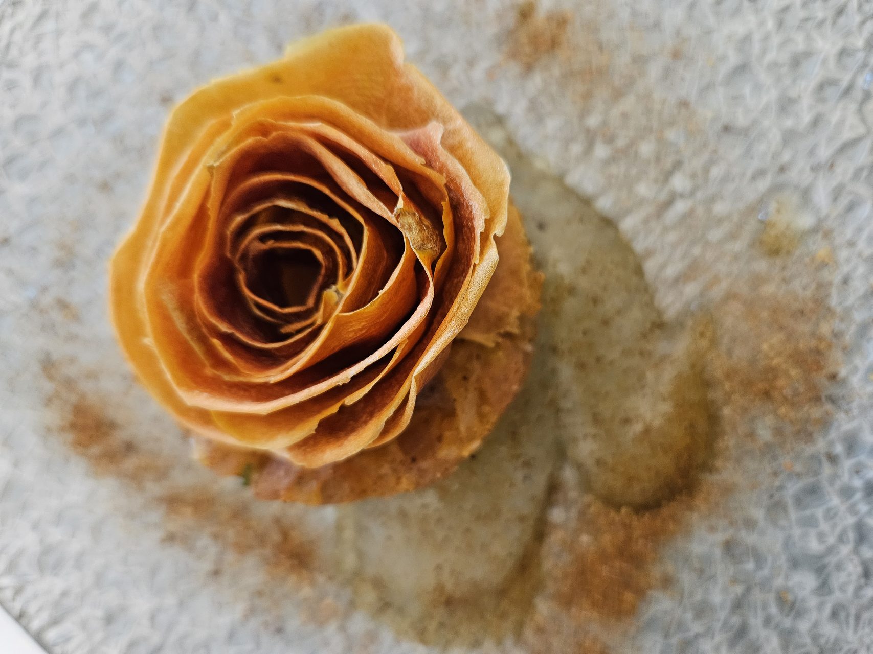 Detalle de la flor de tomate deshidratada