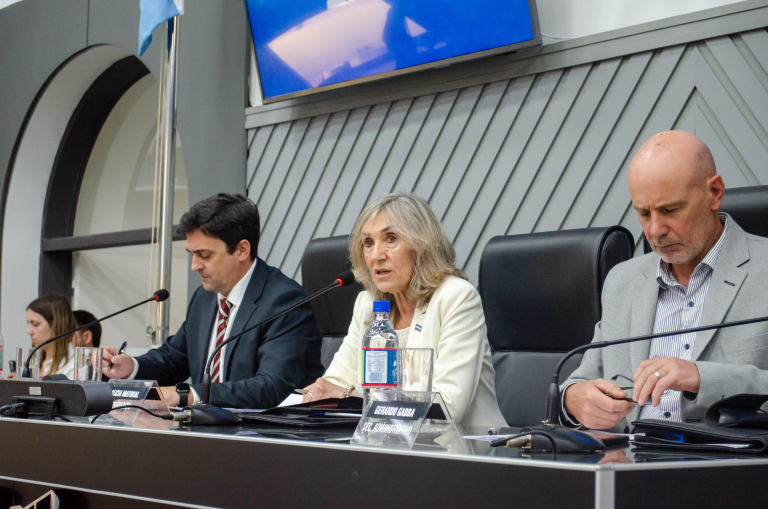 La Legislatura pampeana conformó la comisión que investigará el caso del bebé de Rancul y aprobó el fraccionamiento de tierras rurales