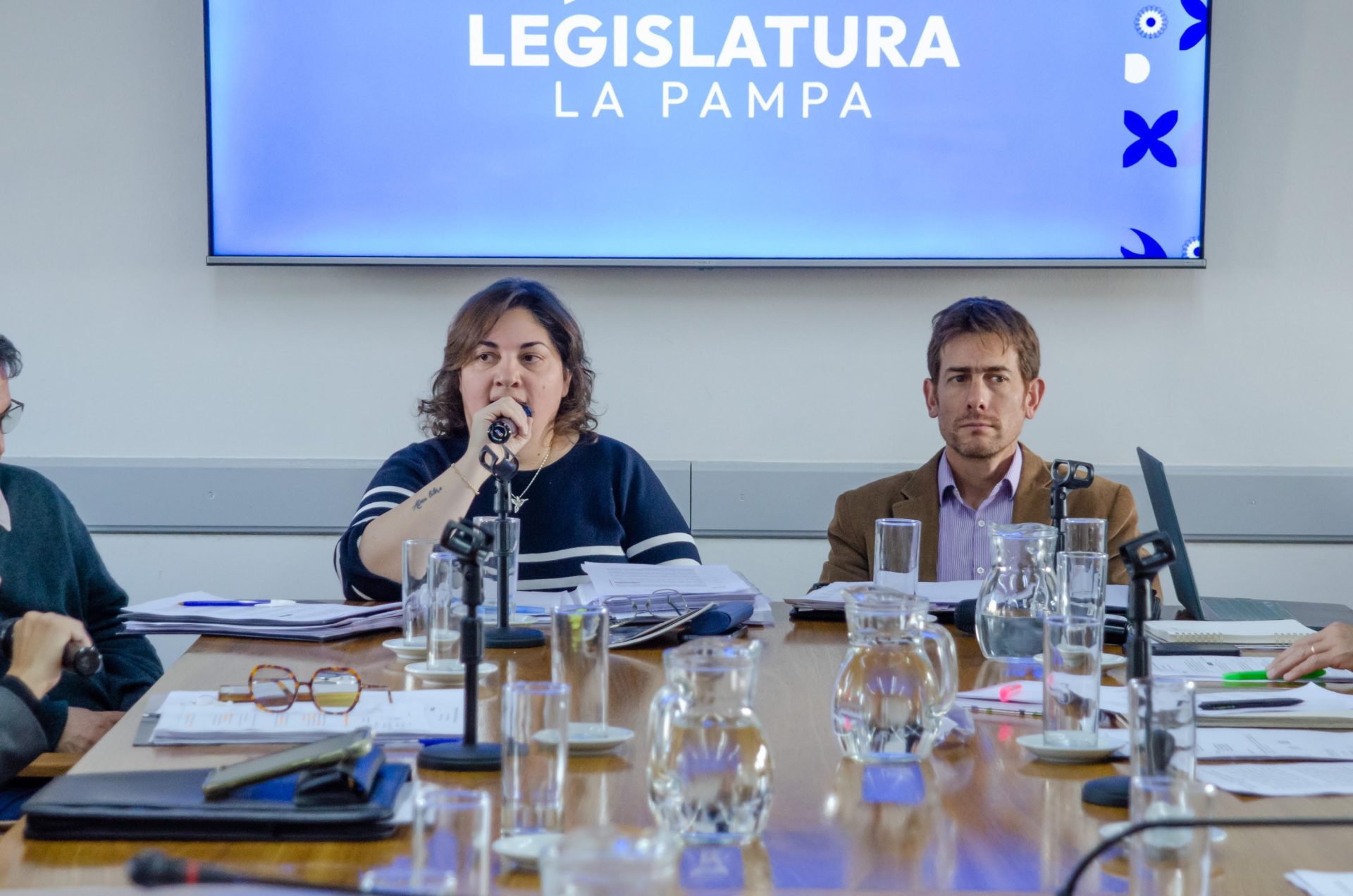 Legislatura: avanza el proyecto para crear el Mes de la Salud Mental y se aprobaron múltiples declaraciones de interés