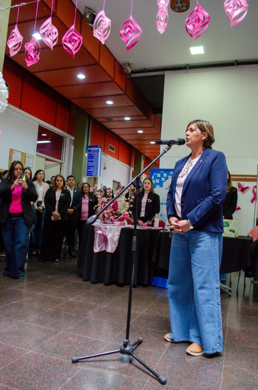 Concientización sobre el cáncer de mama: se realizó una jornada por el Octubre Rosa en la Legislatura