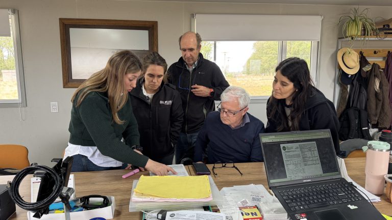Empresas pampeanas reducen costos y ganan competitividad mediante la generación de energía solar