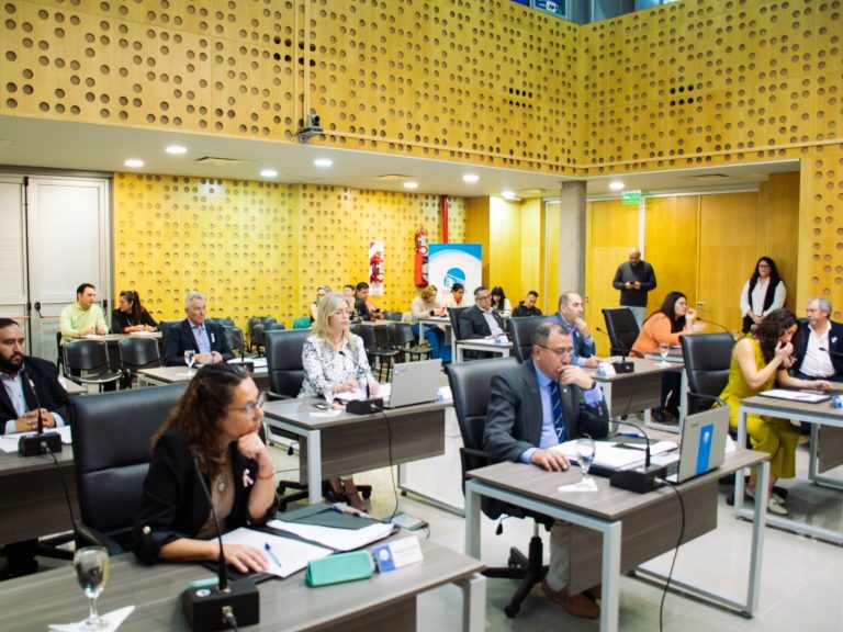 El Concejo Deliberante aprobó la eximición de tasas para la construcción de diez viviendas destinadas a personas mayores y con discapacidad