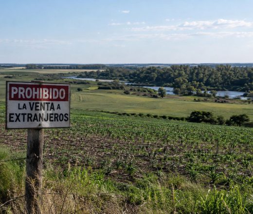 Ziliotto envió a la Legislatura un proyecto para regular la tenencia de tierras rurales y blindar los recursos estratégicos (Imagen ilustrativa IA - infopico.com)