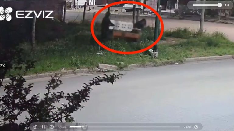 Captado por cámaras: insólito robo de un banco de vereda en plena madrugada