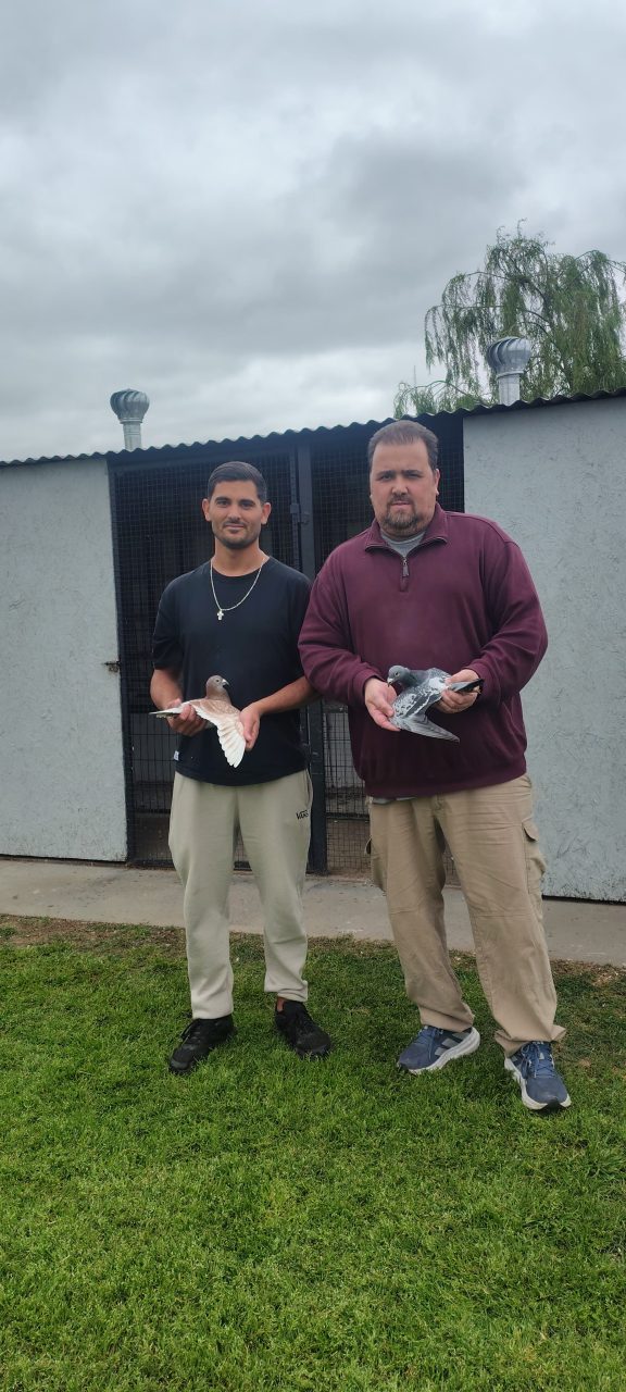 Colombofilia: “La Loma” y “El Tornado” se consagraron campeones en el torneo local